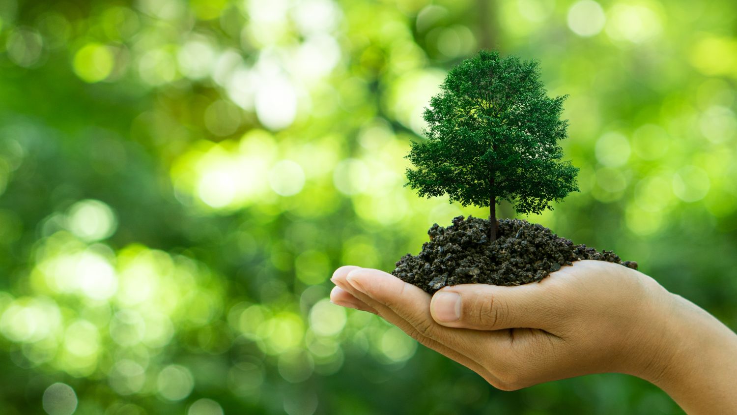 Carbon Neutrality คือ